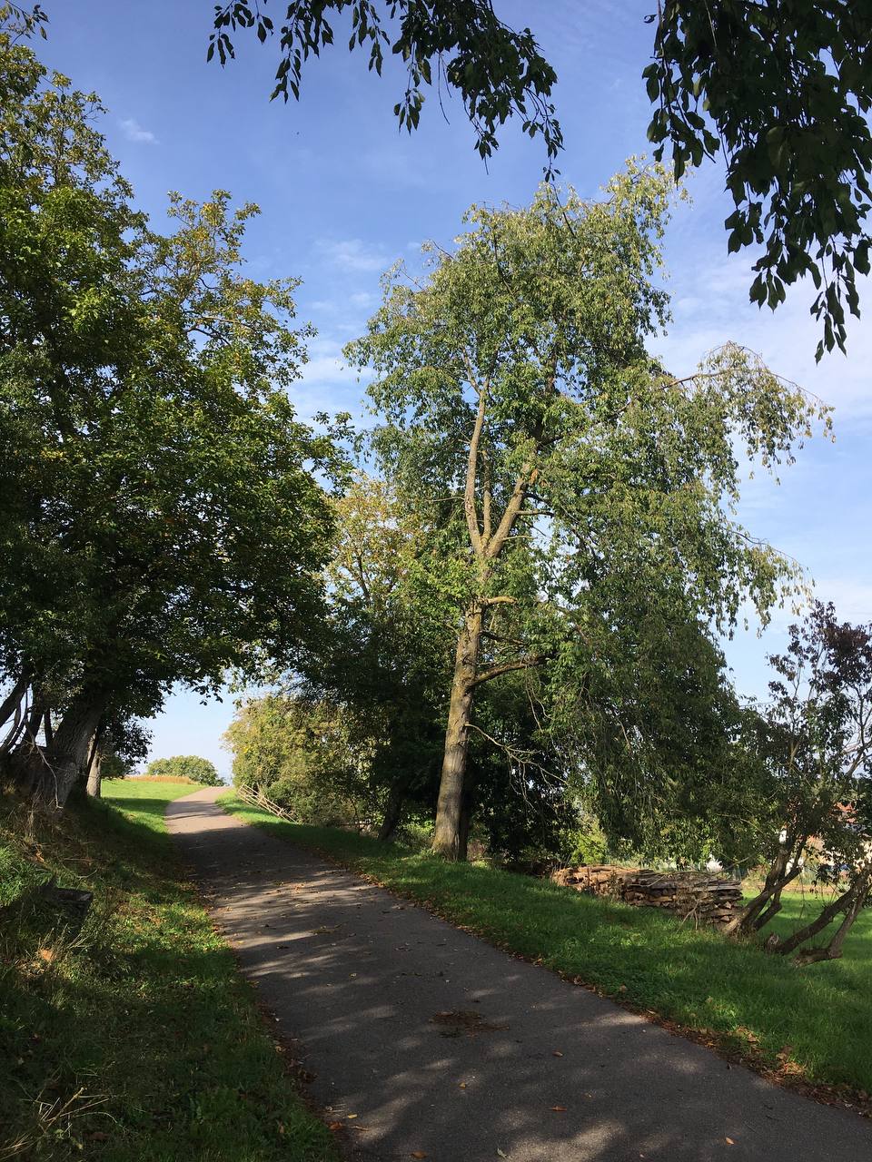 Unser Wald Bürger für den Wald