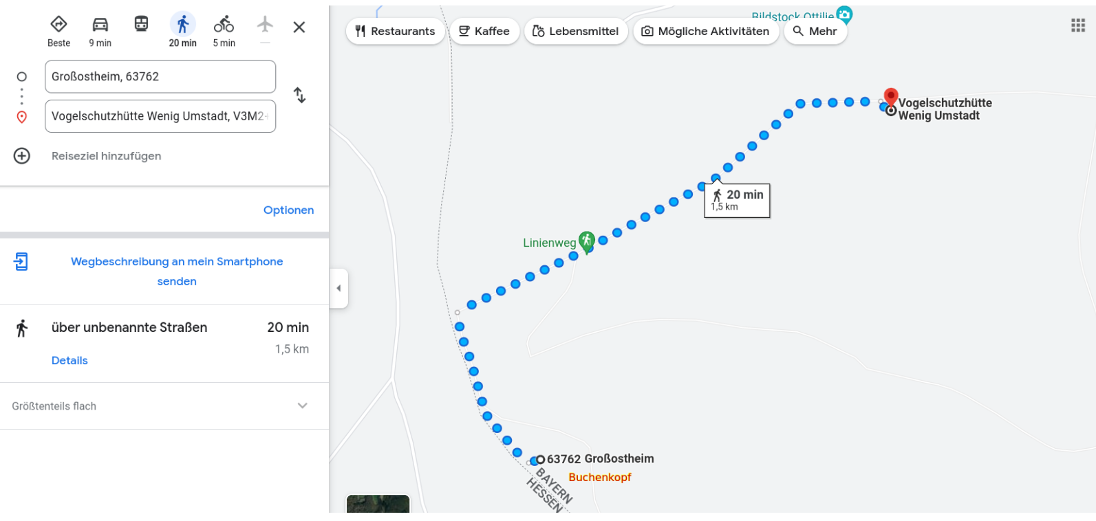 Buchenkopf zu Vogelschutzhütte